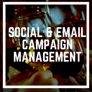 Social & Email Campaign Management